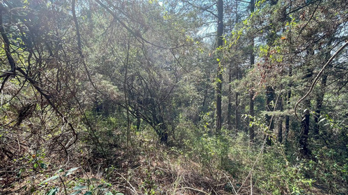 Terreno Habitacional En Venta En San Mateo Tlaltenango, Cuaj