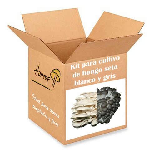 Kit Cultivo Hongo Seta Blanco Y Gris - Micelio Semilla