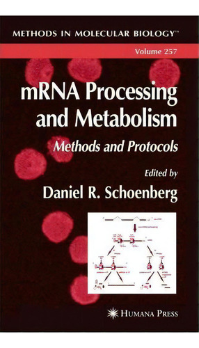 Mrna Processing And Metabolism, De Daniel R. Schoenberg. Editorial Humana Press Inc, Tapa Blanda En Inglés