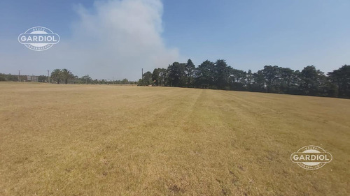 Imagen 13 de 28 de Terreno Barrio Privado 7414 Mts Camino De Los Horneros- Countrie Quinta De Los Horneros