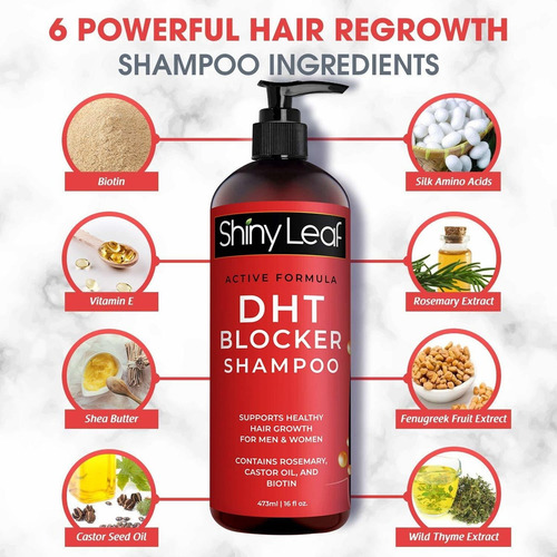 Pérdida Bloqueador De Dht Anti-hair Champú Con Biotina, Homb