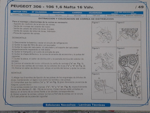 Manual Puesta A Punto De La Distribución 1