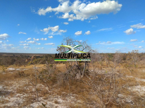 Imagem 14 de 15 de Fazenda 102,22 Hectares, R$ 2.788,10 Ha, Santa Fé De Minas Mg, Pecuária, - 442