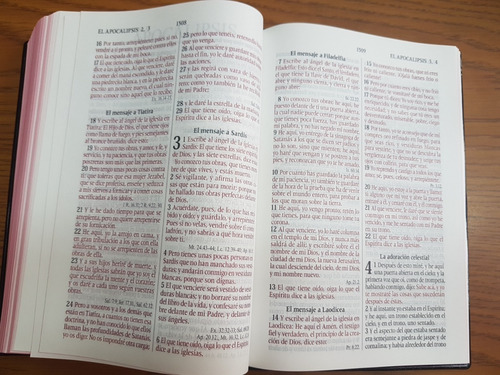 Biblia Reina Valera 1960 Letra Grande, Concordancia, Vinilo