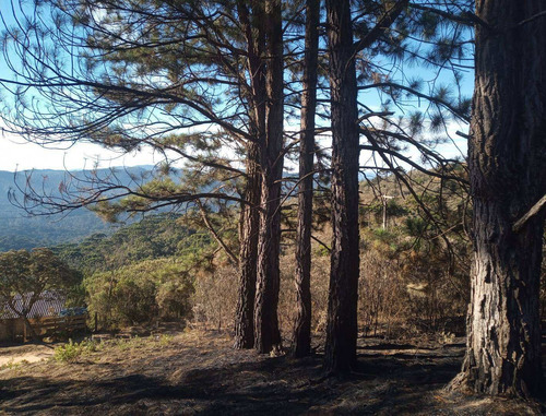 Imagem 3 de 11 de Terreno Com Vista Deslumbrante! - 34
