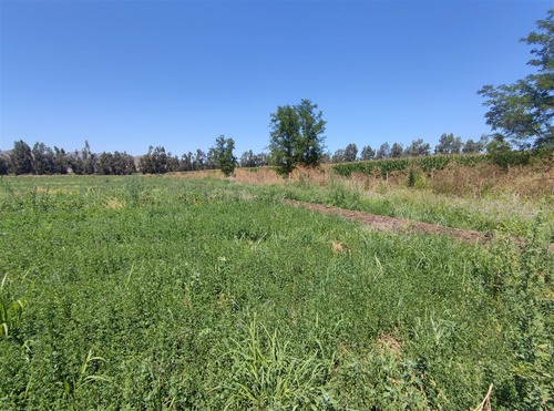 Terrenos Agrícolas Con Agua Venta María Pinto Curacavi