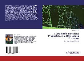 Libro Sustainable Electricity Production In A Developing ...