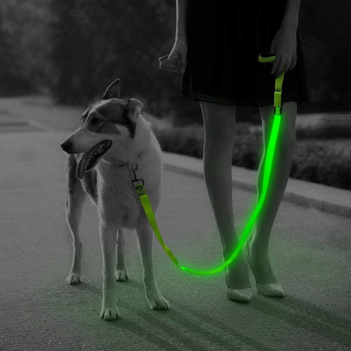 Correa Led Para Perros Higuard Usb Recargable A Pedido!