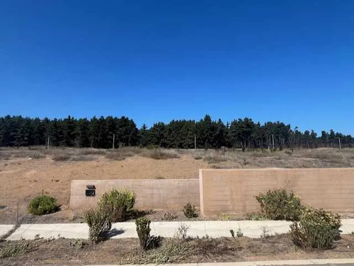 Guanay, Lindo Sitio (158662)