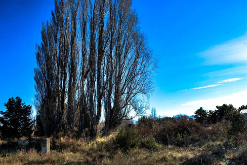 Imagen 4 de 7 de Dina Huapi- Muy Buen Lote, Soleado
