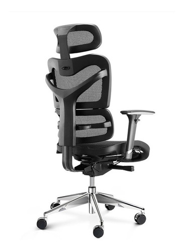 Imagen 4 de 5 de Silla Presidencial Ergohuman Giratoria Ajustable Base Cromo