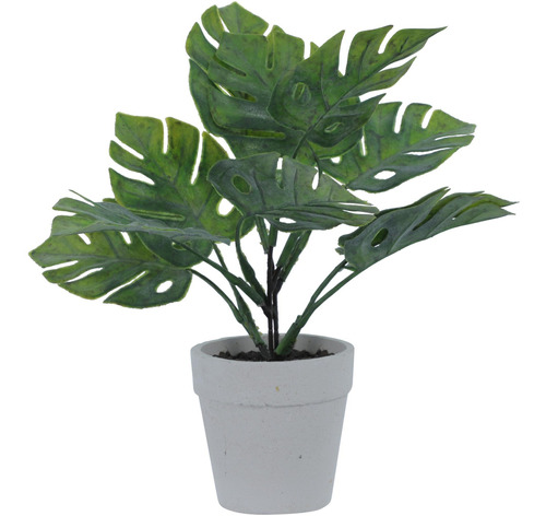 Planta Monstera Verde Con Pote X25 Cm