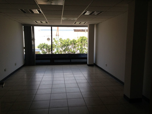 Imagen 9 de 16 de Renta Oficinas 300m Av Zaragoza Qro Cerca De 5 De Febrero