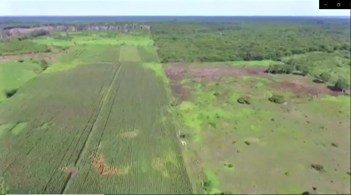 Rancho Agrícola-ganadero En Venta De 90 Hectáreas En Champotón, Campeche