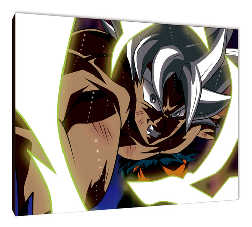 Cuadros Anime Dragon Ball Xl 33x48 (dbll (17))