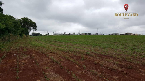 Imagem 5 de 11 de Área À Venda, 60000 M² Por R$ 7.800.000,00 - Centro - São Miguel Do Iguaçu/pr - Ar0003