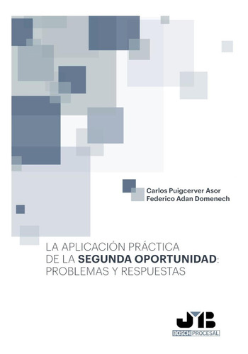 La Aplicaciãâ³n Prãâ¡ctica De La Segunda Oportunidad: Problemas Y Respuestas, De Puigcerver Asor, Carlos. Editorial J.m. Bosch Editor, Tapa Blanda En Español