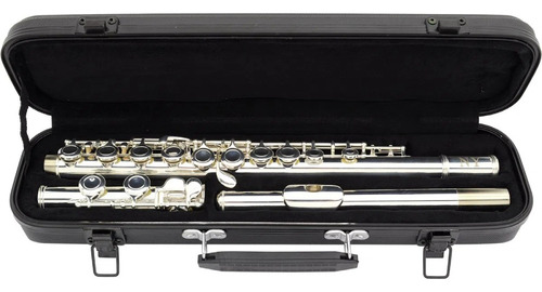 Kit Flauta Transversal Fl 200es Ny + Estante De Partitura S2 Cor Prateado