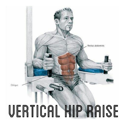 Silla Romana Fondo Triceps + Dorsalera De Dominadas Genetic