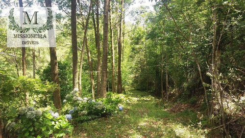 Imagem 12 de 24 de Chácara Com 3 Dormitórios À Venda, 1350 M² Por R$ 110.000,00 - Passo Da Areia - Viamão/rs - Ch0004