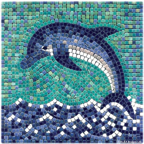 Kit De Arte Mosaico Diy 7 '' Cuadrado, 7.9x7.9 In, Delfín