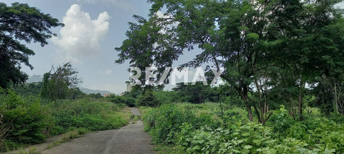 251862 En Venta Terreno En El Rincón Naguanagua Fp
