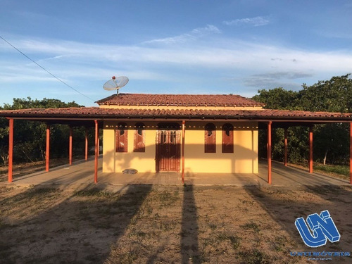 Imagem 16 de 17 de Fazenda Em Coração De Maria Com 50 Tarefas - Afd065 - 70725770