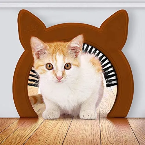 Gato rasca puerta new arrivals