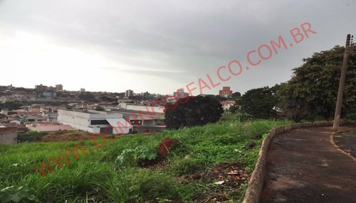 Imagem 10 de 13 de Venda - Terreno - Jardim São Domingos - Americana - Sp - D1313