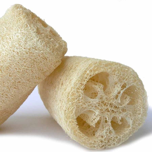 Plantas Exóticas Semillas Luffa Esponja Vegetal Rara Natural