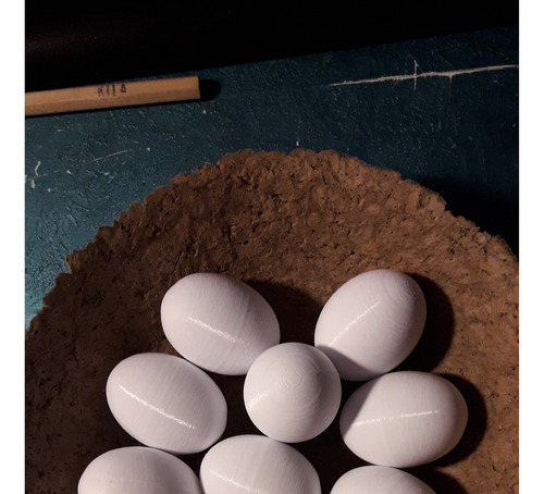 2 Huevos Artificiales Para Palomas De Bio-plástico Blanco