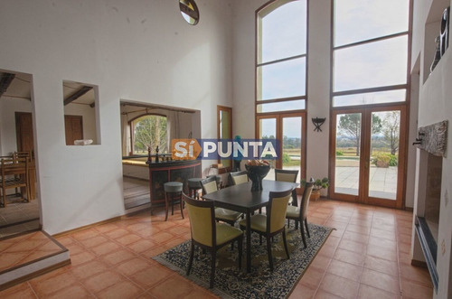 Imagen 6 de 30 de Chacra En Venta - Camino Cerro Eguzquiza