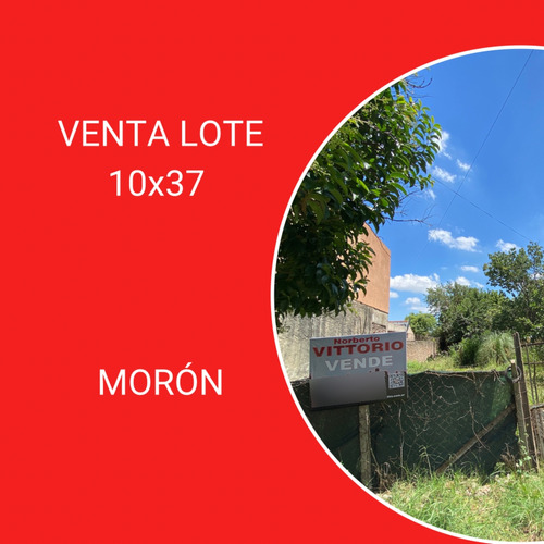 Venta Lote 10x37 En Morn