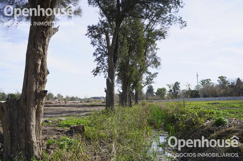 Venta Lote Barrio Parque Las Casuarinas Del Viso