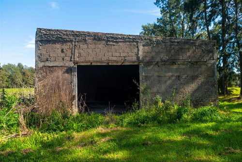 Venta Chacra 28 Ha Abayuba Arroyo Y 2 Tajamares C.rigel