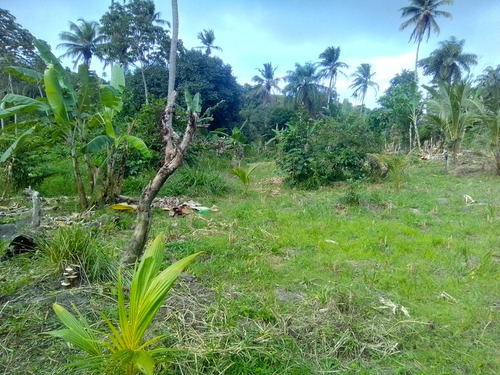 Terreno Pra Vender O Trocar Com Carro O Em Lote