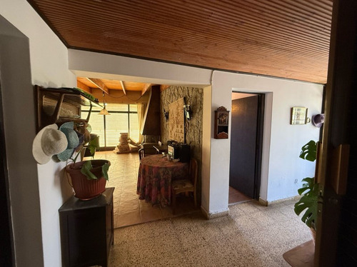 Algarrobo