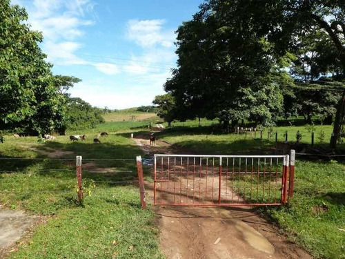 Imagen 2 de 9 de Finca En Venta En Santa Bárbara