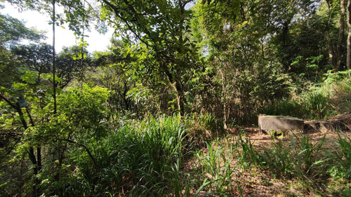 Imagem 22 de 25 de Lotes Em Condomínio Para Comprar No Condomínio Aldeia Da Cachoeira Das Pedras Em Brumadinho/mg - 2420