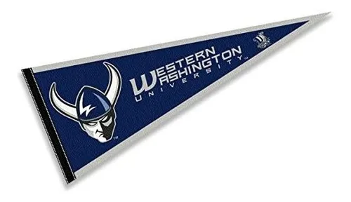 Bandera Vikingos Wwu