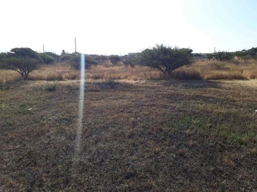 Estupendos 5.000 M2 Parcela Con Casa , Los Laureles/ Limache