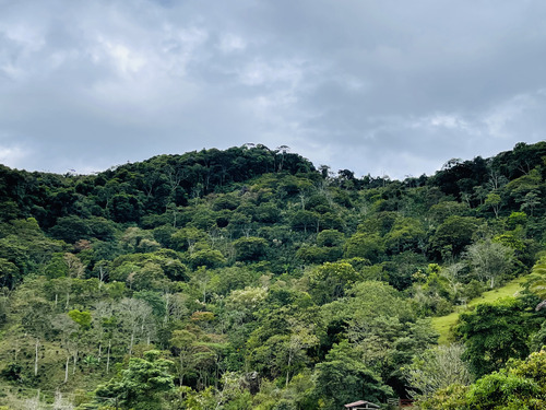 Se Vende Lote De 10 Hectáreas En San Roque, Antioquia. 