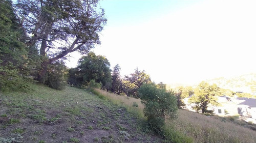 Imagen 14 de 30 de Susana Aravena Propiedades- Lote En Venta En San Martin De Los Andes