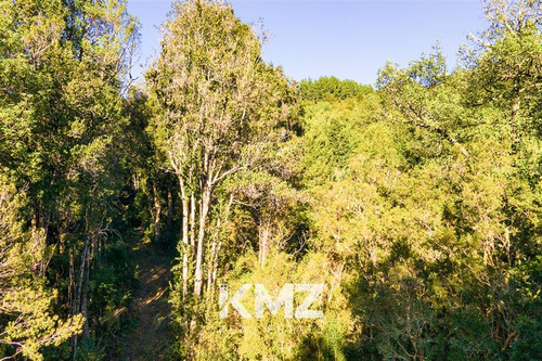 Parcela 5000 M2 En Venta En Puerto Varas , Estero Y Bosques