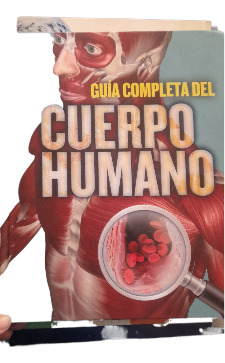 Guia Completa Del Cuerpo Humano Para Niños