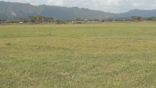 Imagen 8 de 14 de Venta Finca En Falcón Tucacas Oportunidad Cod. 423619