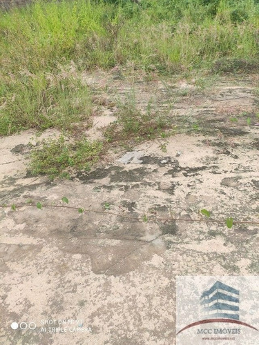 Imagem 3 de 6 de Granja A Venda Em Bela Parnamirim