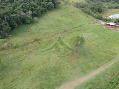 Imagem 10 de 15 de Belissíma Área À Venda Em Atibaia Com Excelente Localização - 1020