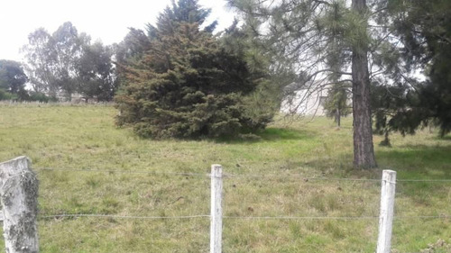 Imagen 8 de 8 de Chacra En Venta - Zona La Plata