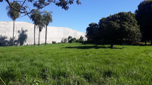 Imagen 2 de 15 de Vendo 1600 M2 En San Lorenzo